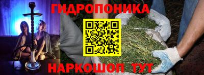 дурь Гагарин