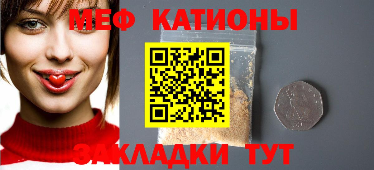МЕФ  Кириши